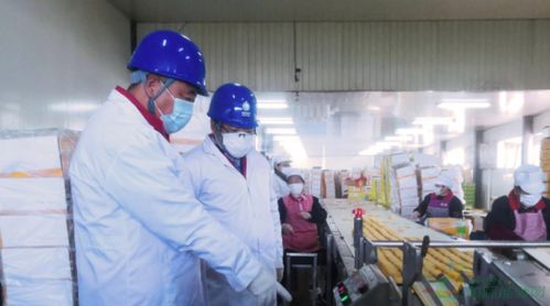 河北石家莊供電公司 暖心服務(wù)助力扶貧微工廠 譜寫鄉(xiāng)村振興新篇章