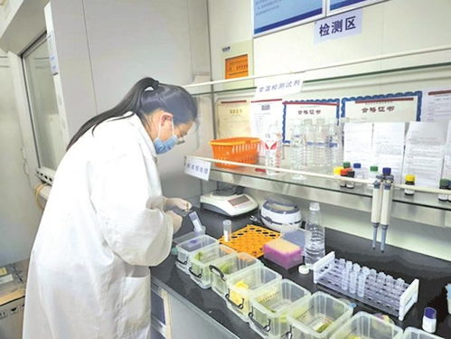 無錫農貿市場實現快檢全覆蓋，上半年檢測90多萬批次合格率超99%